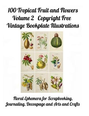 Cover of 100 Tropical Fruit and Flowers Volume 2 Copyright Free Vintage Bookplate Illustrations