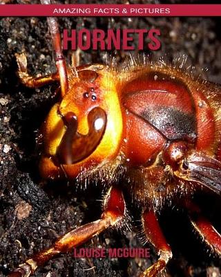 Book cover for Hornets