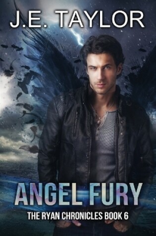 Cover of Angel Fury