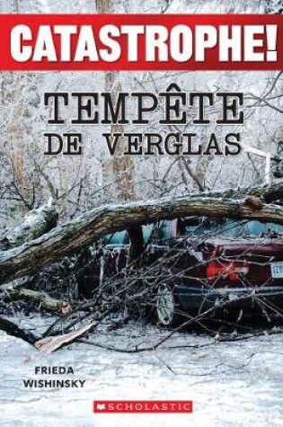 Cover of Catastrophe! Tempête de Verglas