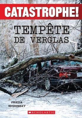 Book cover for Catastrophe! Temp�te de Verglas