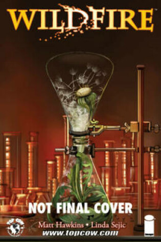 Cover of Wildfire Volume 1