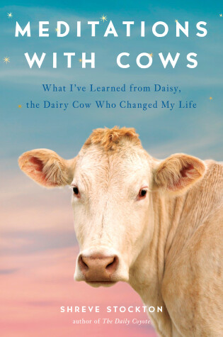 Cover of Meditations with Cows