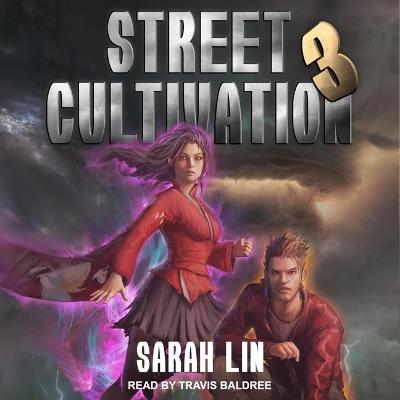 Book cover for Street Cultivation 3