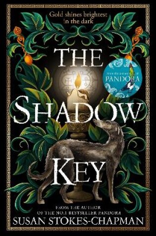 Cover of The Shadow Key