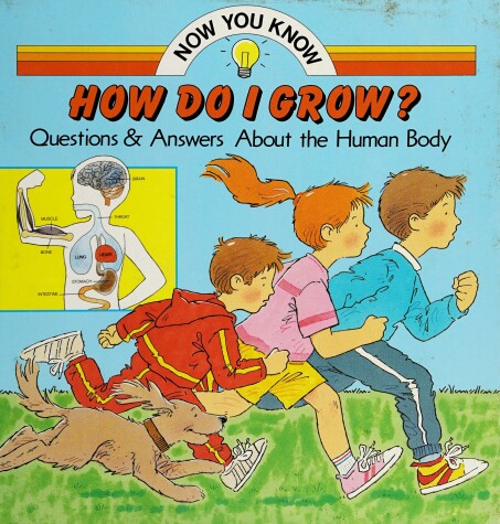 Book cover for Now You Know