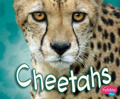 Cover of Cheetahs