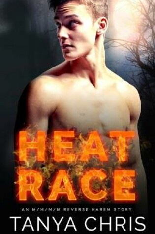 Cover of Heat Race