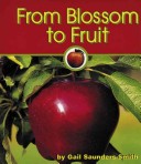 Book cover for From Bud to Blossom