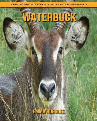 Book cover for Waterbuck