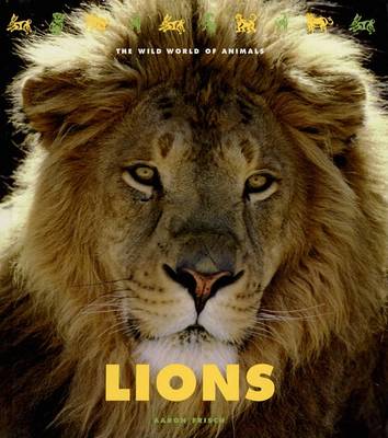 Book cover for Lions