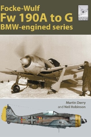 Cover of Flight Craft 30: The Focke-Wulf Fw 190