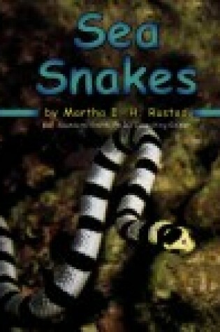 Cover of Sea Snakes