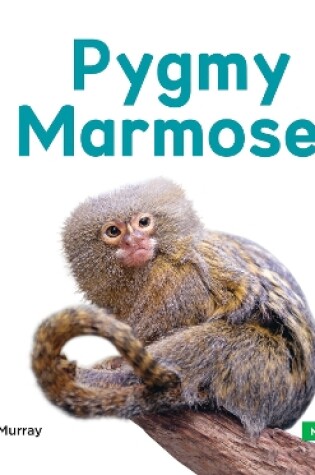 Cover of Mini Animals: Pygmy Marmoset