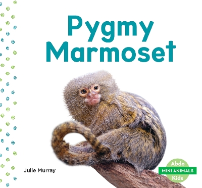 Book cover for Mini Animals: Pygmy Marmoset