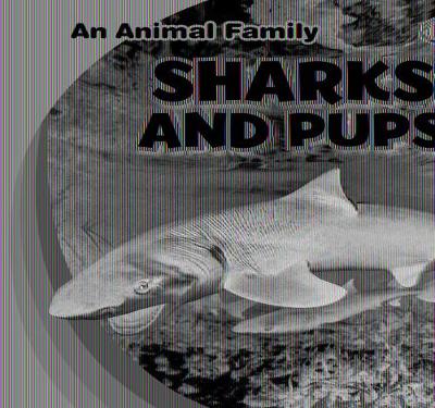 Book cover for Sharks and Pups