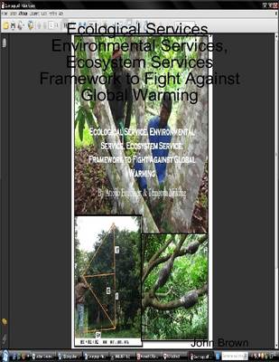 Book cover for Ecological Services, Environmental Services, Ecosystem Services: Framework to Fight Against Global Warming
