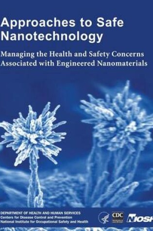 Cover of Approaches to Safe Nanotechnology