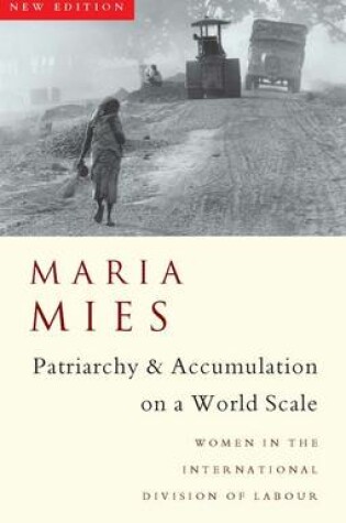 Cover of Patriarchy and Accumulation on a World Scale