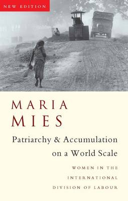 Book cover for Patriarchy and Accumulation on a World Scale