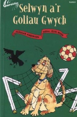 Cover of Cyfres Gwreichion: Selwyn a'r Goliau Gwych