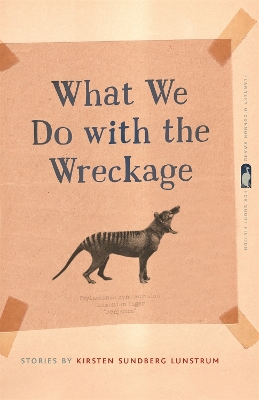 Cover of What We Do with the Wreckage