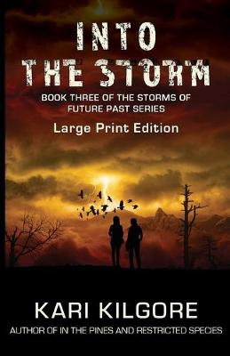 Cover of Into the Storm