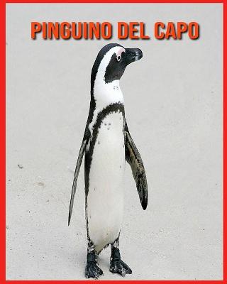 Book cover for Pinguino del Capo