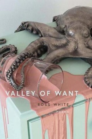 Cover of Valley of Want