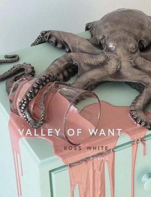 Book cover for Valley of Want