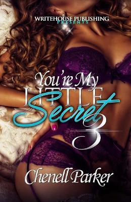 Cover of You're My Little Secret 3