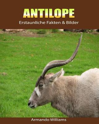 Book cover for Antilope