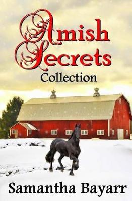Book cover for Amish Secrets