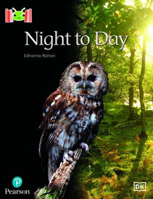 Book cover for Bug Club Reading Corner: Age 4-5: Night to Day