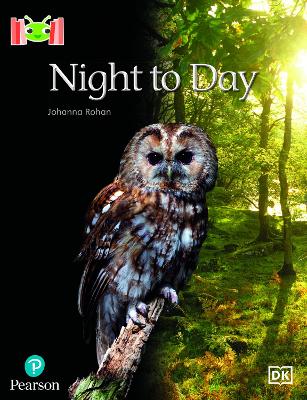 Book cover for Bug Club Reading Corner: Age 4-5: Night to Day