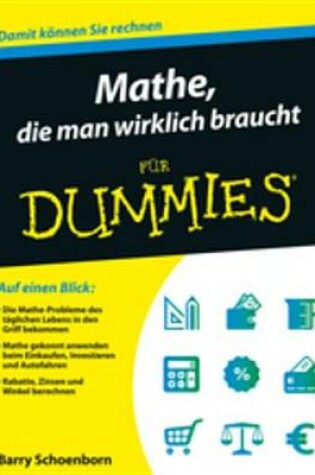 Cover of Mathe, die man wirklich braucht fur Dummies