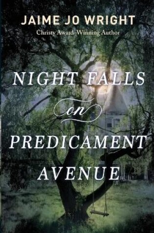 Cover of Night Falls on Predicament Avenue