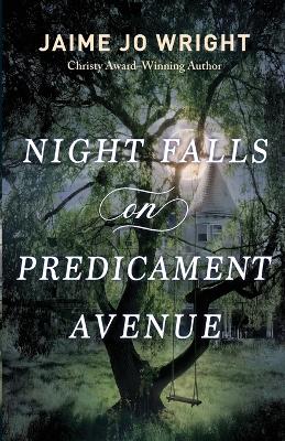Book cover for Night Falls on Predicament Avenue