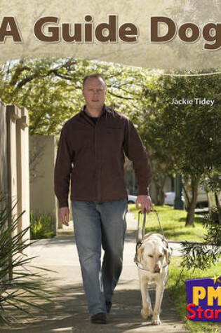 Cover of A Guide Dog