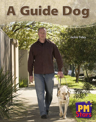 Book cover for A Guide Dog