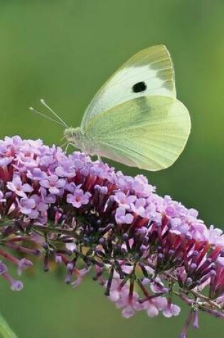 Cover of Cabbage White Butterfly, for the Love of Nature