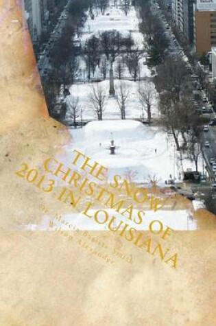 Cover of The Snow Christmas of 2013 in Louisiana