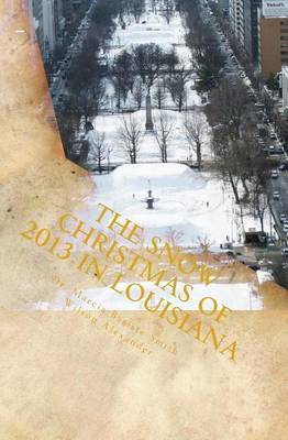 Book cover for The Snow Christmas of 2013 in Louisiana