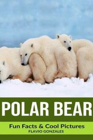 Cover of Polar Bear