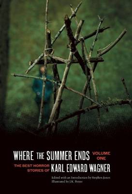 Book cover for Where the Summer Ends