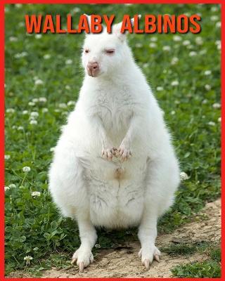 Cover of Wallaby Albinos
