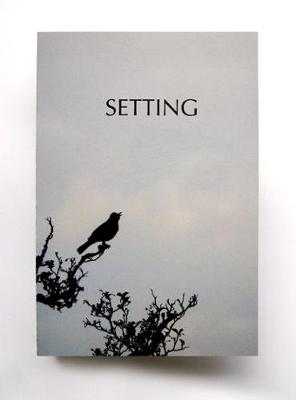 Book cover for Setting