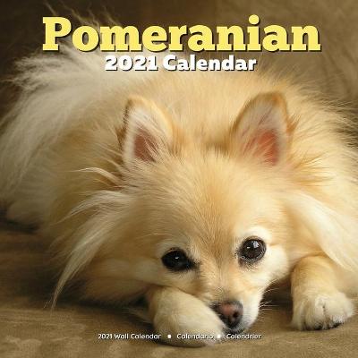 Book cover for Pomeranian 2021 Calendar