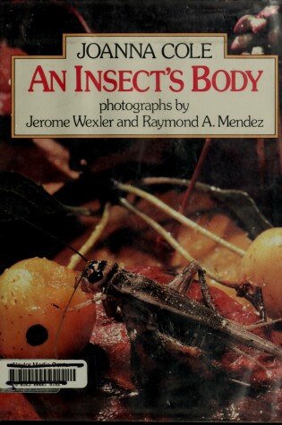 Cover of An Insect's Body