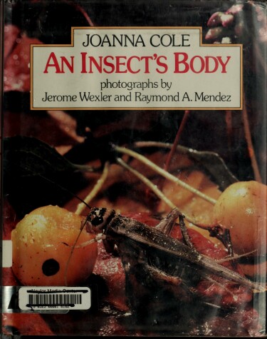 Book cover for An Insect's Body